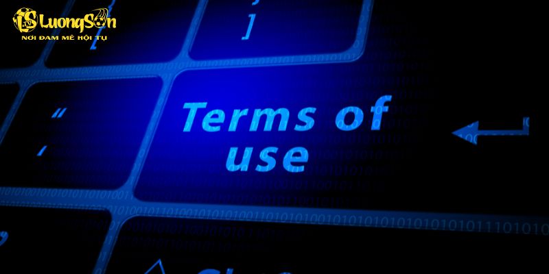 Quy định về hành vi sử dụng